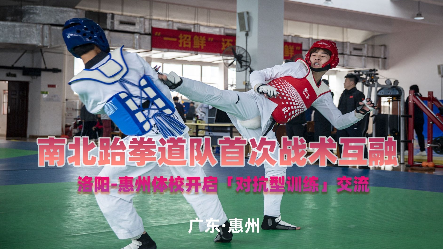 跆拳道大奖赛上演强强对话，关中猎隼队强势横扫胶东银狐队，多点开花奏效；教练团队居功至伟的简单介绍